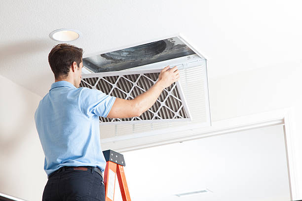 Best Best HVAC Companies  in Lakeview, WA